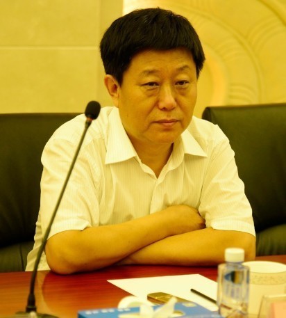 晨阳集团董事长刘善江