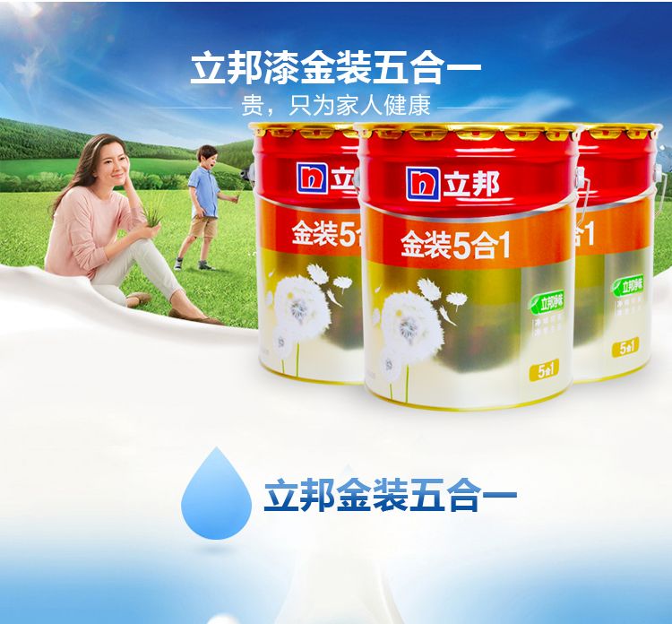 立邦金装五合一